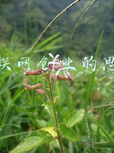 创业的互联网思维(互联网创业的4个思维)