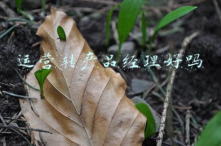开发转产品经理(我为何放弃七年研发经验转型产品经理？)