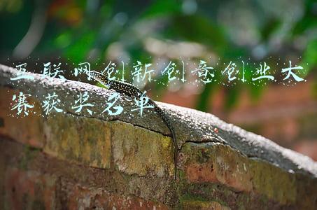 互联网创意项目策划书(移动互联网市场运营推广策划案)