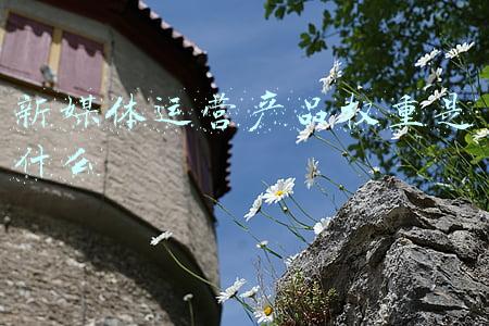 新媒体运营产品权重是什么