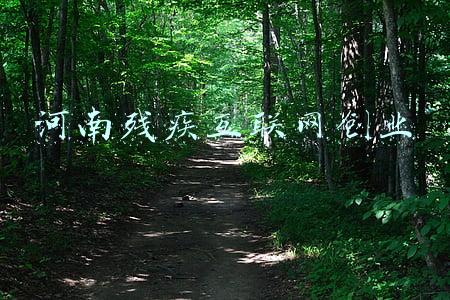 河南残疾互联网创业联系方式(350多个岗位！杭州市残疾人大学生专场网络招聘会来啦！)