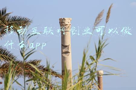 移动互联网创业可以做什么app