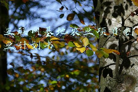 互联网农业创业策划书(自主创业时代，你的农业创业计划可行吗？)