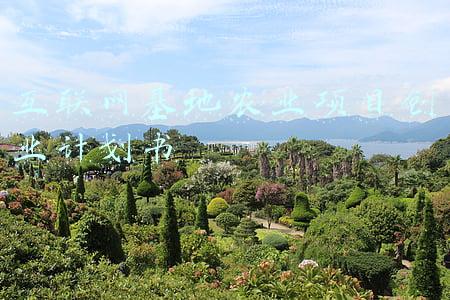 互联网基地农业项目创业计划书 互联网基地农业项目创业计划书