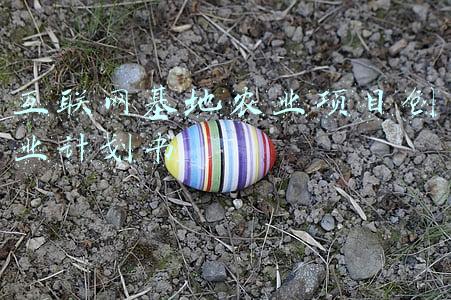 互联网基地农业项目创业计划书 互联网基地农业项目创业计划书