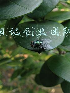 完美日记创业团队互联网