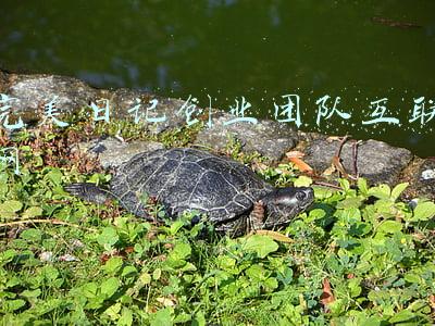 完美日记创业故事(完美日记营销费用高企，全年亏损27亿元，国货美妆创业没未来？)
