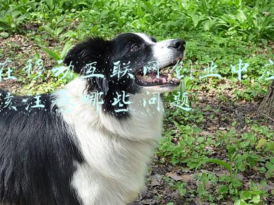 属于移动互联网创业的困难为(员工不学，学了不用，企业头疼的人才成长问题何解？)