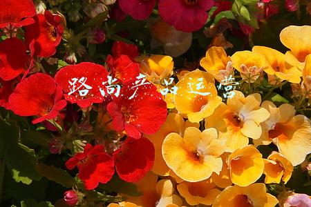 路尚总公司(榆林第十二中学附近10年未开公交站点 师生出行不便)