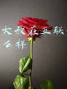 80后大叔在互联网创业怎么样