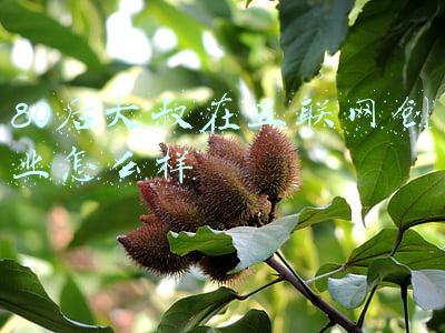 80后互联网大佬(初代互联网科技大佬“退休”极简史)