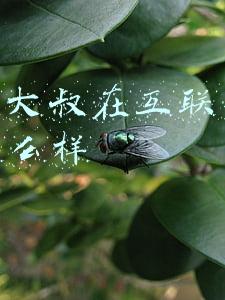 80后大叔照片(来！28位70后“大叔”颜值巅峰照，以当今审美，你觉得谁最帅)