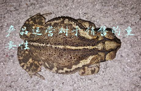 产品运营对于销售的重要性