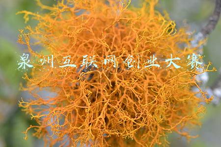 泉州互联网社区(泉州丰泽派出所打造“互联网+”社区警务模式)