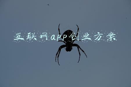 互联网app创业方案