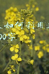 大学生如何利用互联网创业500字