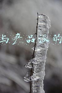 运营与产品派的区别