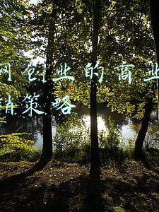 互联网创业的商业模式和营销策略