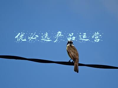 优必选创始人(优必选创始人周剑富二代出身变卖房产创业 公司至今蹊跷仍未上市)