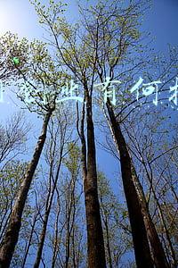 互联网创业有何扶持政策