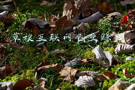 草根互联网创业赚钱