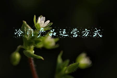 冷门产品运营方式