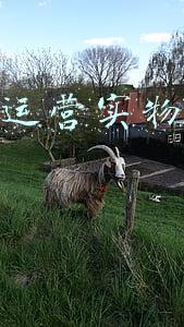 自媒体运营实物产品运营技巧