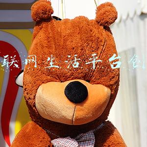 互联网生活平台创业