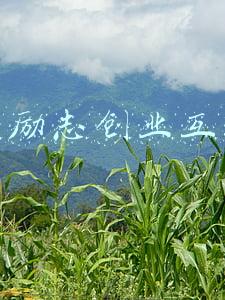 马云互联网大会演讲(马云在外滩金融峰会发言：相比与国际接轨，更该思考如何与未来接轨)
