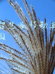 杭州智慧谷移动互联网创业园是做什么的呢(“孵化”聚势 赋能千亿产业——探访城东U谷二期项目“智慧谷创业园”)