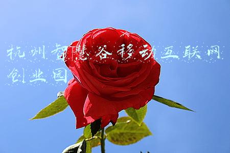 杭州智慧谷移动互联网创业园地铁是哪一站下(共500个！2022年度济南市级重点项目名单出炉)