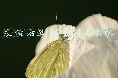 商机互联(智能制造再迎政策利好 两大领域商机不可错过)