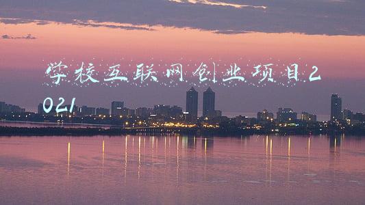 学校互联网创业项目2021