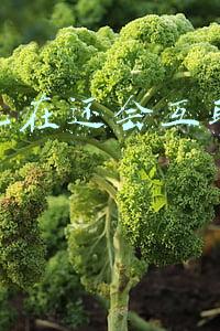 马云现在还会互联网创业吗