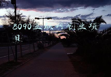 8090互联网创业项目