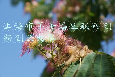 上海市第七届互联网创新创业大赛