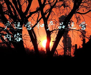 用户运营(如何建立自己的运营体系？以用户运营为例)