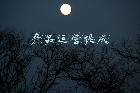 产品运营提成