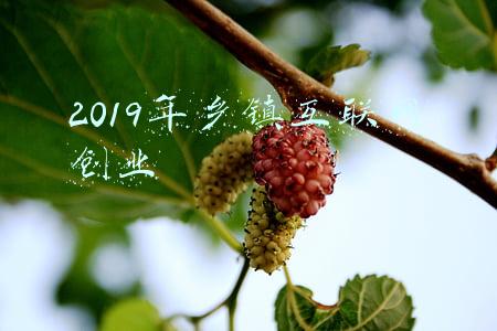 县城互联网创业(回不去的浙江县城：这里房价超2万/平，我不如在一线城市死磕到底)
