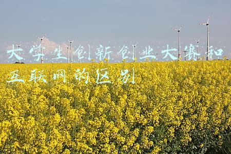 大学生创新创业大赛和互联网的区别