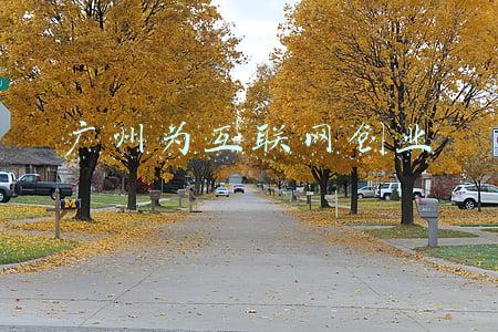 广州互联网法院(多个新功能！广州互联网法院今天正式上线“E问执达”系统)
