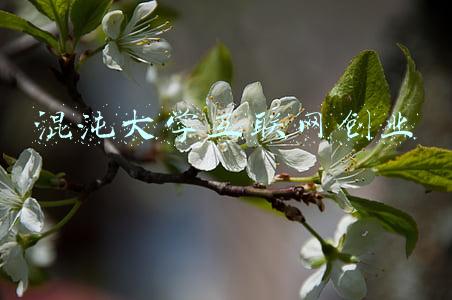 混沌大学互联网创业
