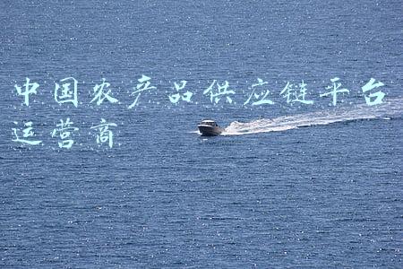 中国农产品供应链平台运营商