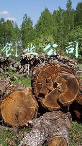 互联网创业公司一年基本费用