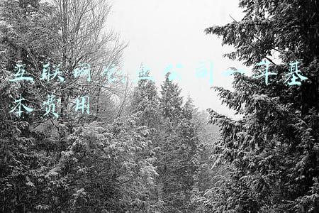 农业互联网基本架构(史磊刚：农田里的互联网架构师)