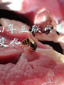 2021年互联网发展趋势(万字长文丨不破不立，互联网出海2021)