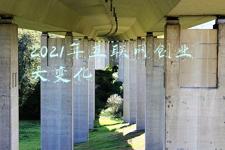 2021年互联网保险数据(73家人身险公司2021年理赔年报合集（附：报告链接）)
