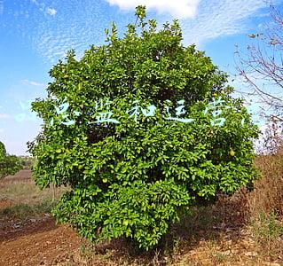 产品总监岗位职责(招聘应聘必看的销售总监岗位职责（附知名企业面试问题）)