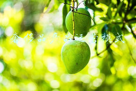 奢侈品产品运营模式