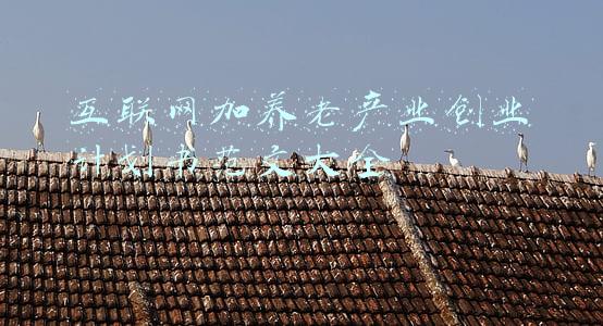 互联网+智慧养老创业计划书(借力“互联网+”让养老更“智慧”)